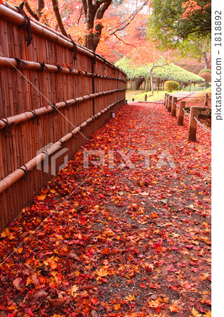 Fall of Kasaga Castle Park 1818892