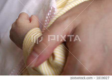 affection, bonding, family 1819027