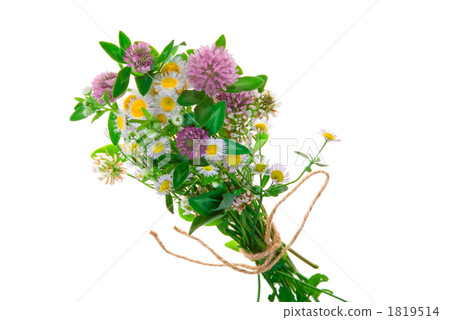 Bouquet of red gouache, himesion, wild chrysanthemum cut out Bouquet of red gouache, himesion, wild chrysanthemum cut out 1819514