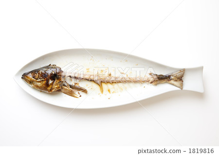 Pretty eaten fish 1819816