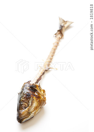 Pretty eaten fish 1819818