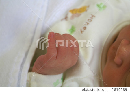 Baby's hand shortly after birth 1819989
