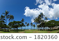 hawaii Waikiki 1820360