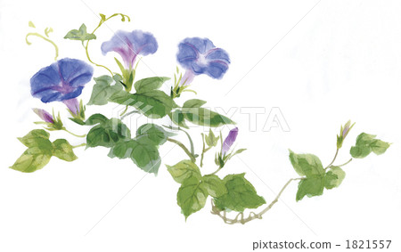 早晨的太陽 早晨的太陽 1821557