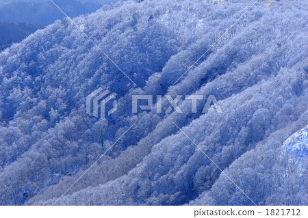 Livestock full bloom 1821712