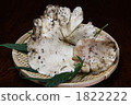 Phantom mushrooms Sugitake 1822222