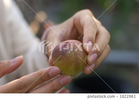 FIG FIG 1822861