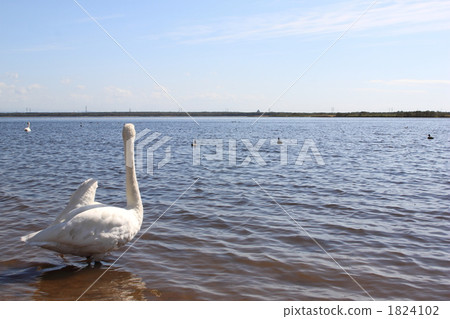 Lake Utonai 1824102