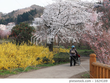 To Togenokyo To Togenokyo 1824189