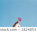 spoon, blue sky, bloom 1824853