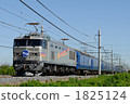 Headed for Ueno EF 510 Towing sleeper Limited Express Hokutosei 1825124