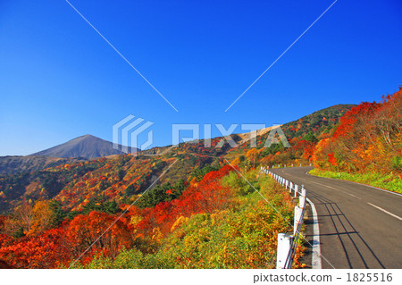 Bandai Azuma Skyline（天狗花園和Agatsuma Fuji） 1825516