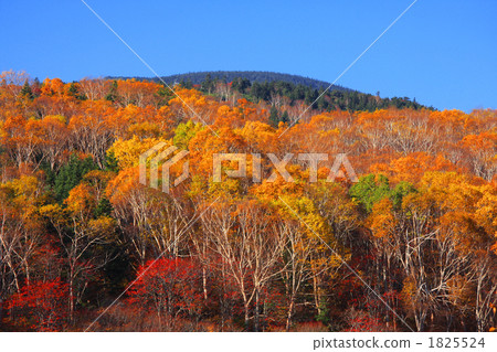 Bandai Azuma Skyline(Jodo-Ei附近) Bandai Azuma Skyline(Jodo-Ei附近) 1825524