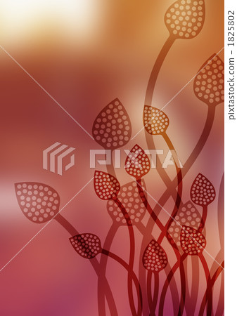 花紋 樣式 紋樣 1825802