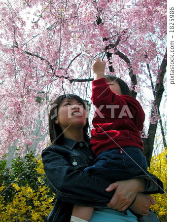 人 人物 人類 1825986