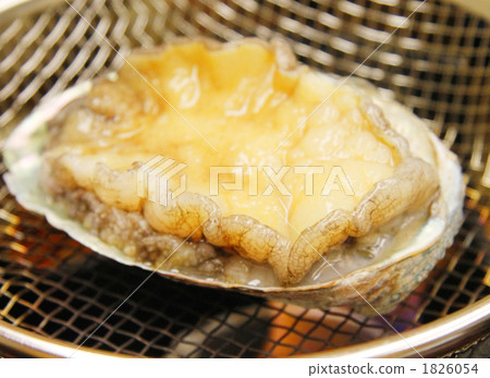 abalone, broiled dish, seasonal flower 1826054