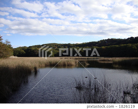 lake ippeki, lake, landscape 1826119
