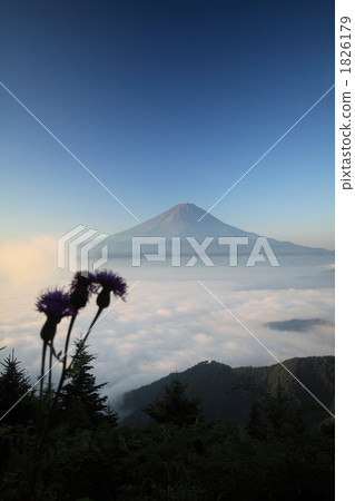 雲海 富士山 風景 1826179