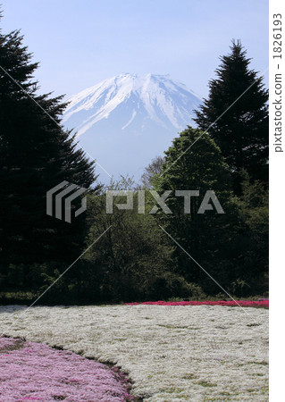 富士山和蘑菇 1826193