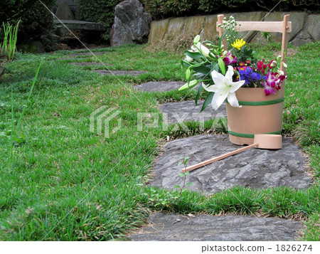 pail, vappodes phalaenopsis, visiting a grave 1826274