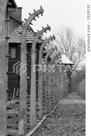 Auschwitz 1826532
