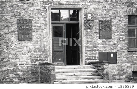 奧斯威辛 1826559