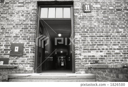 Auschwitz 1826580