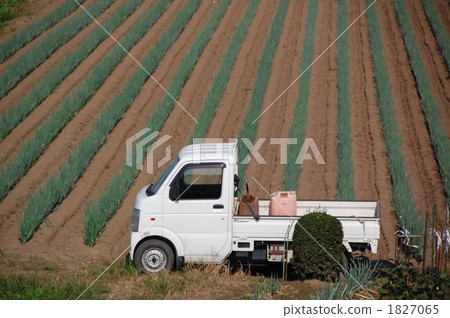lightweight truck, truck, agricultureh 1827065