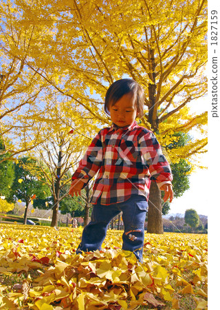 person, picking up leaves, child 1827159