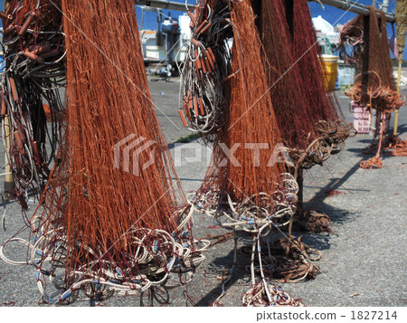 Net fishing port 1827214