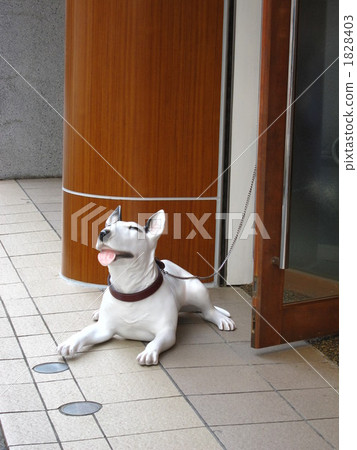 guard dog, watchdog, the city 1828403