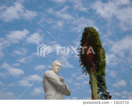 bronze statue, botanic, botanical 1828710