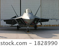 戰鬥機 1828990