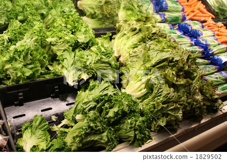 生吃蔬菜 生菜 蔬菜部門 1829502