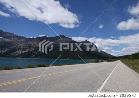 paved street, straight road, great nature 1829573