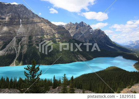 rocky mountain, Peyto Lake, pate lake 1829581