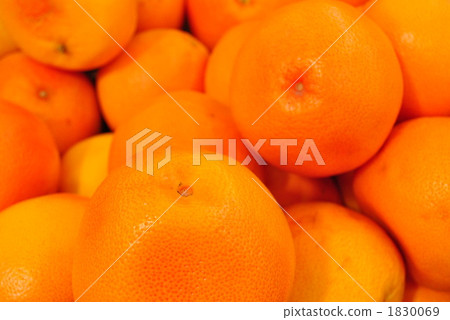 很多葡萄柚 1830069