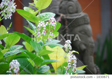 Flowers and stone statues 1830671