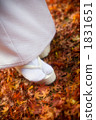 Bride and autumn leaves 1831651