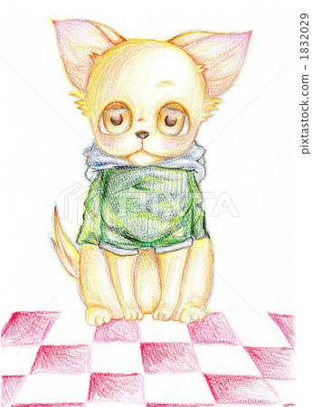 Choice of Chihuahua Choice of Chihuahua 1832029