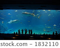 美麗海水族館 美麗海水族館 1832110
