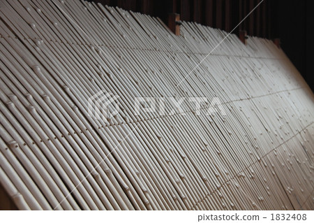 Dog Yabe Dog Yabe 1832408