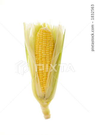 簡單的玉米皮 1832563