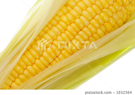 對角排列的玉米隆起 1832564