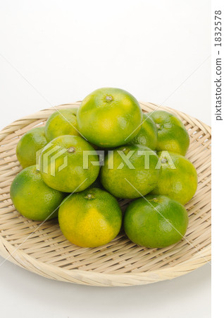 Blue mandarin wrapped in biscuits 1832578