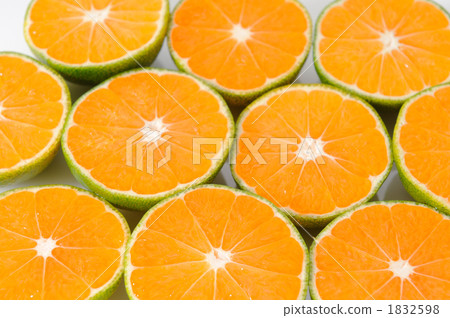 A row of cut bluish oranges A row of cut bluish oranges 1832598