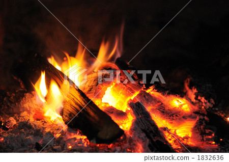 Firewood burning with firefly 1832636