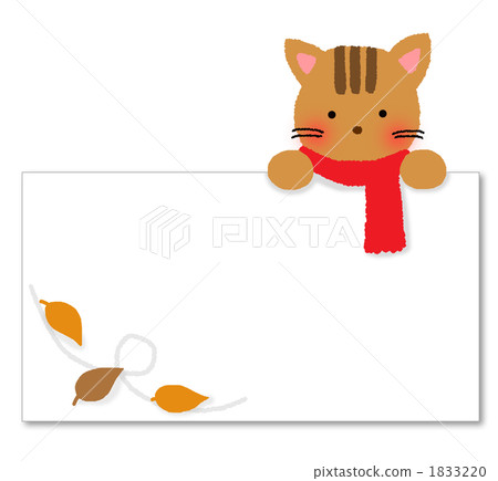 Tiger cat message board 1833220