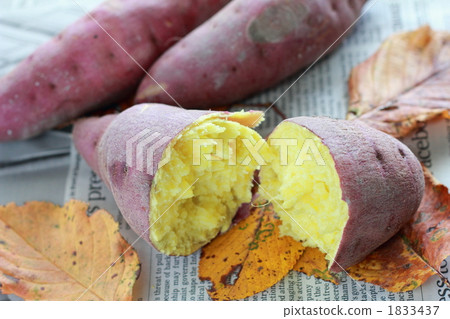 Naruto gold time stone roasted sweet potato Naruto gold time stone roasted sweet potato 1833437