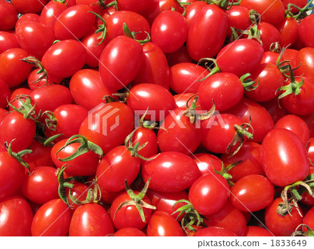 I photographed sweet mini tomatoes that were ripened in farmers in Ibaraki prefecture up. 1833649